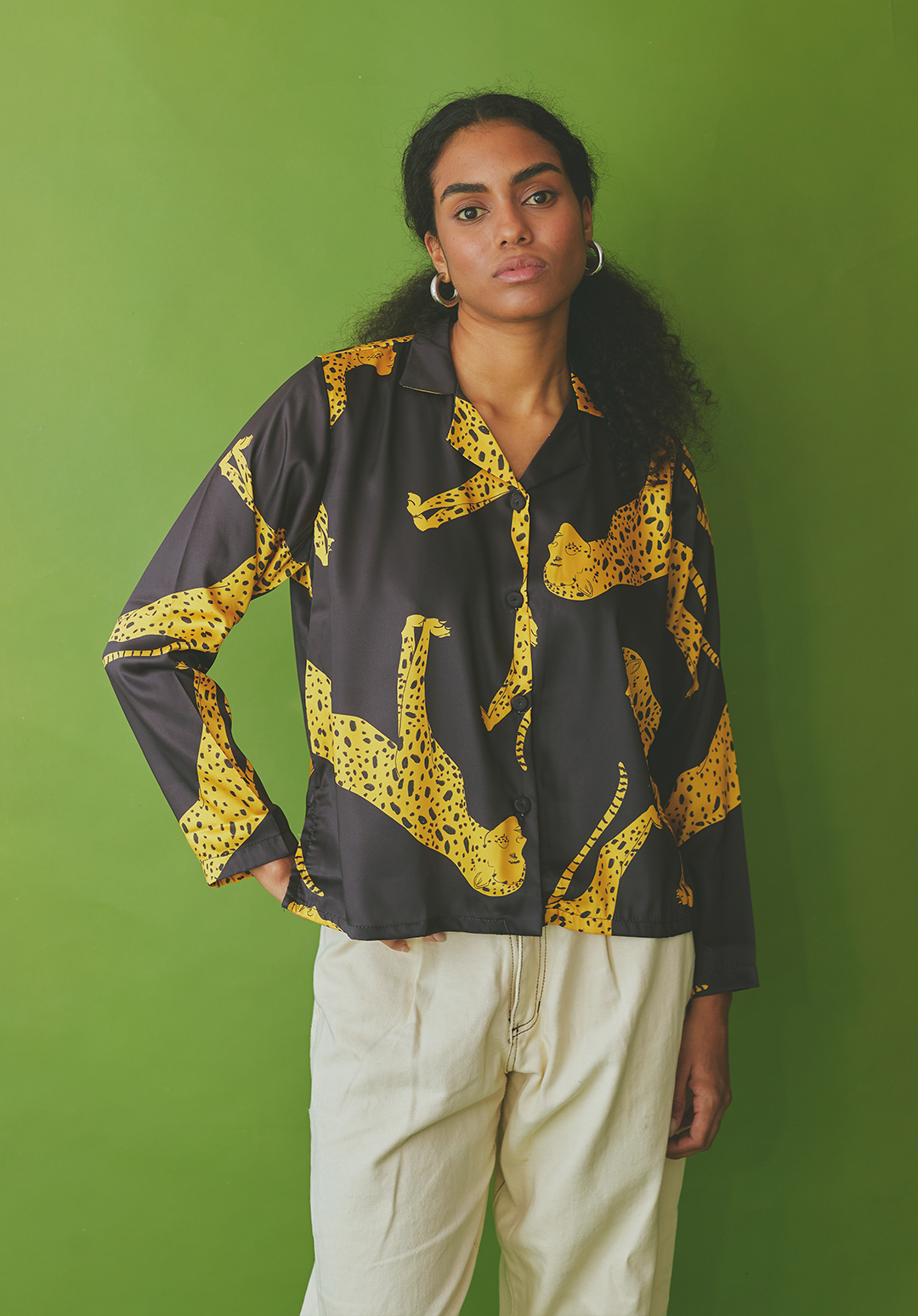 Camisero Felidae
