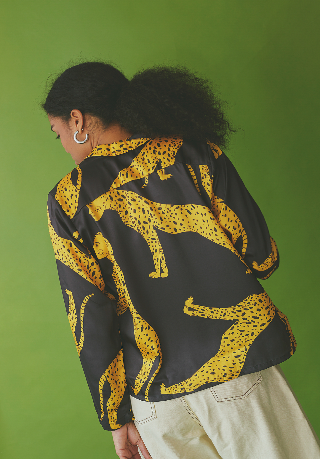 Camisero Felidae